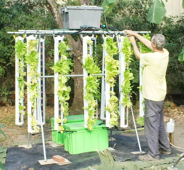 hydrolush hydroponics vertical intro 04