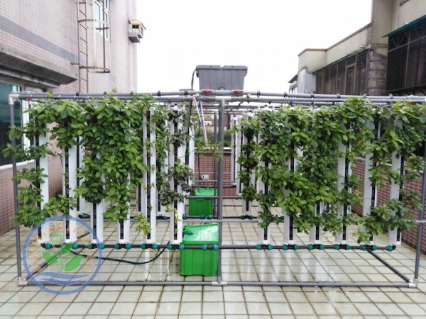 hydrolush hydroponics systems garden 04