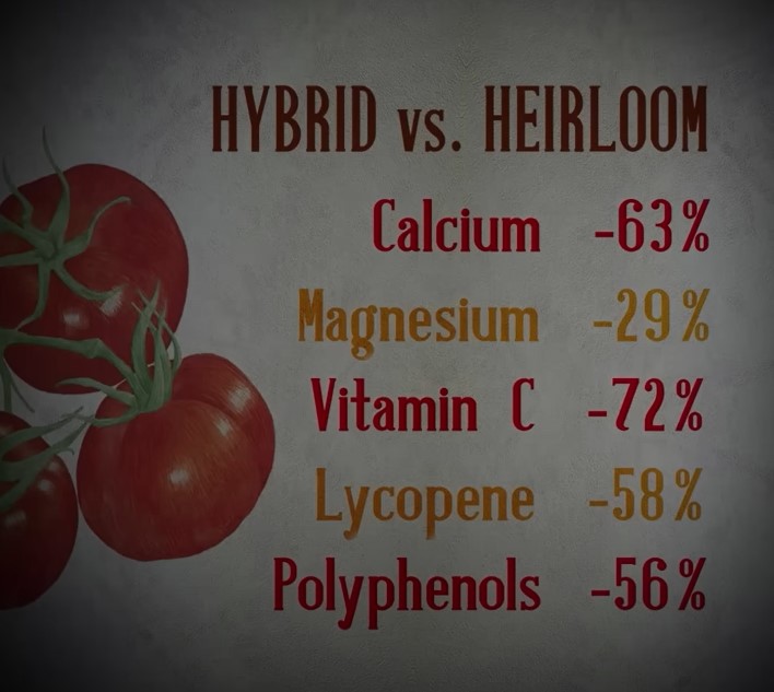 商業雜交品種與傳統遺傳番茄的營養成分比較